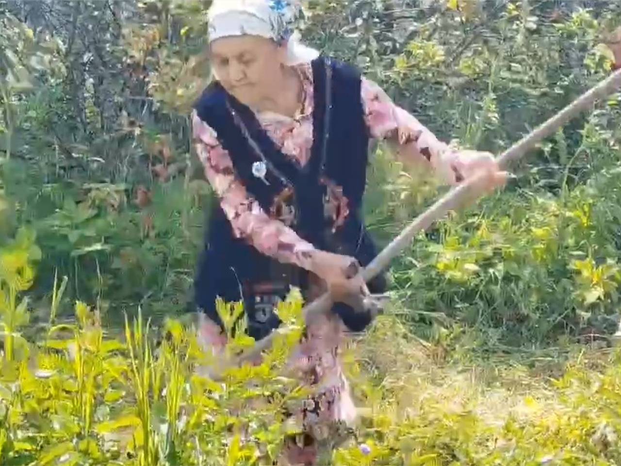 91-летняя звезда соревнования косарей попала на видео