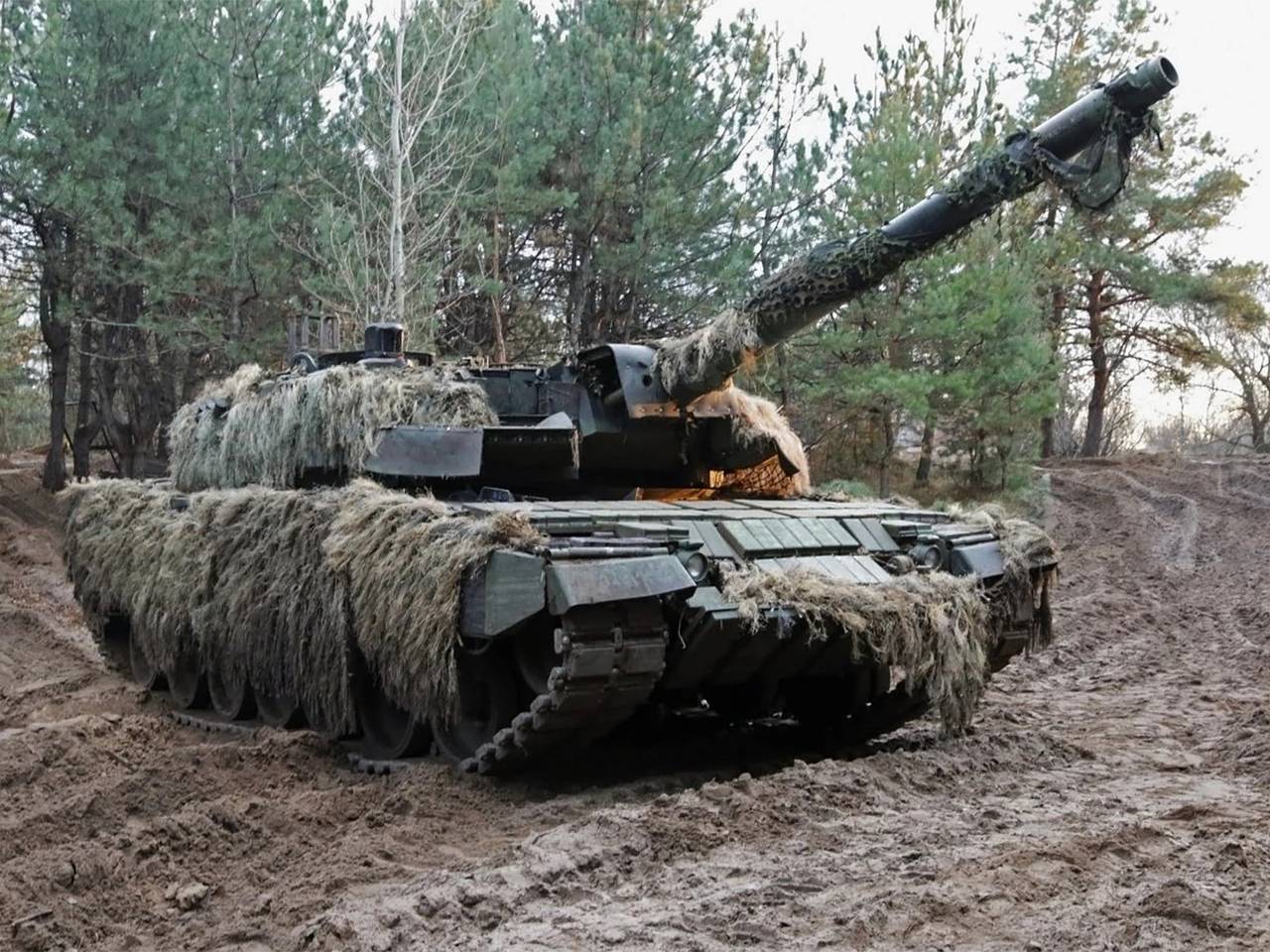 Украина бросила против России &laquo;дикую кошку&raquo;