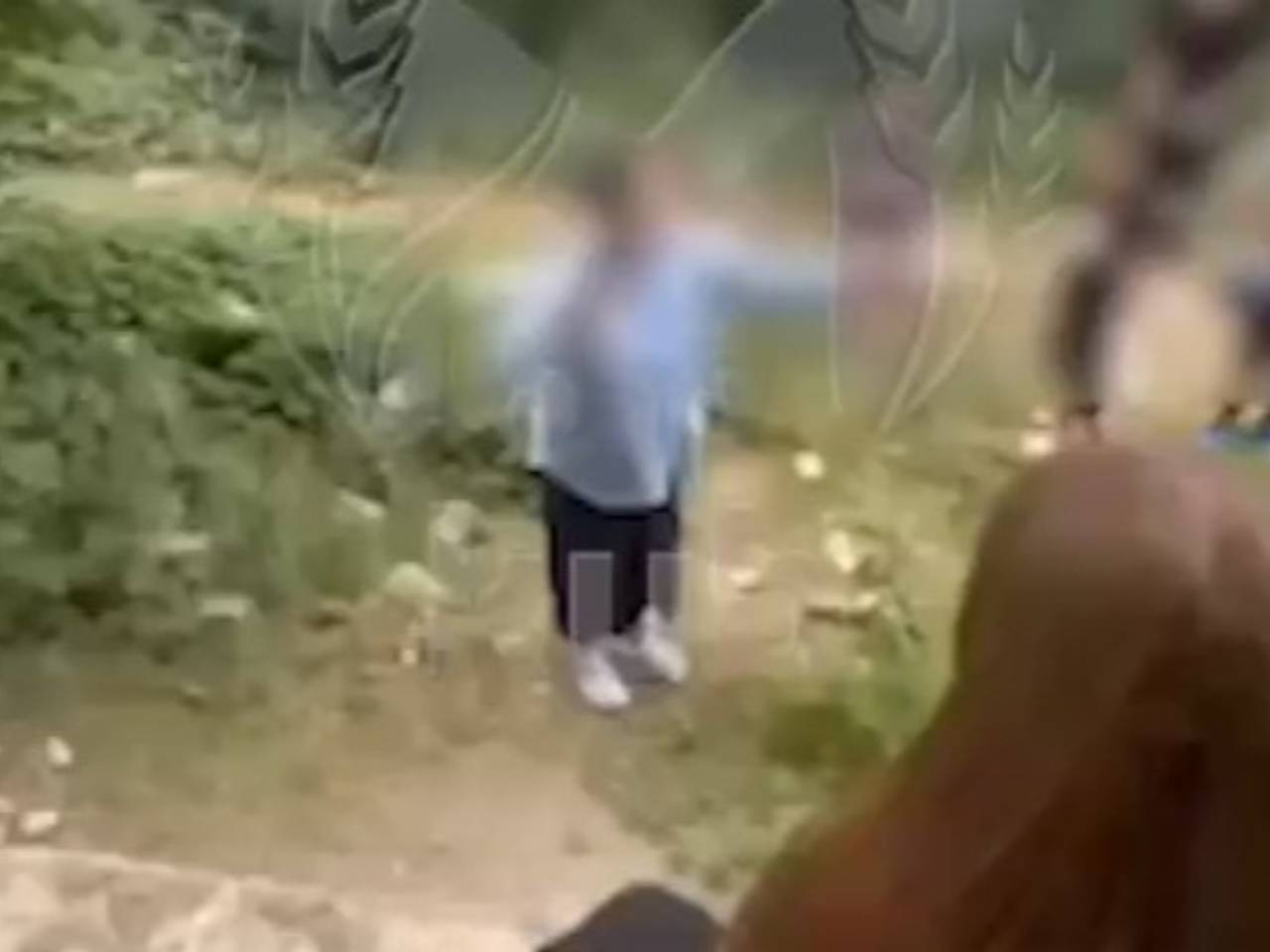 Россиянка швырнула кирпич в школьницу и попала на видео