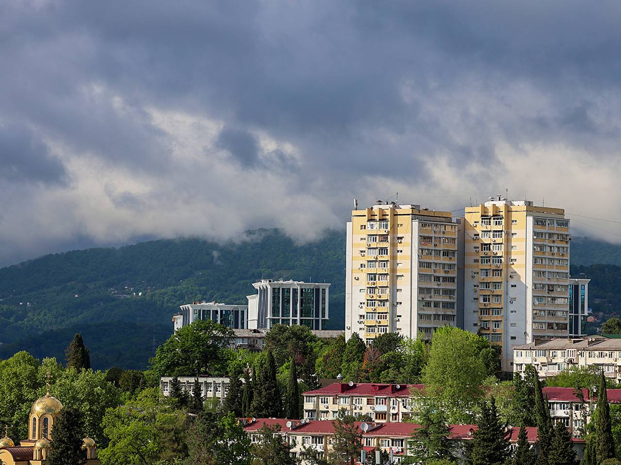 В горах Сочи начался сезон дикой смородины